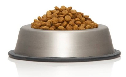 Tips to Save on Dog Food